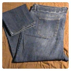 Woman’s plus size Dress Barn brand WT jeans
